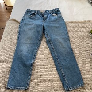 Everlane Curvy Cheeky Jean